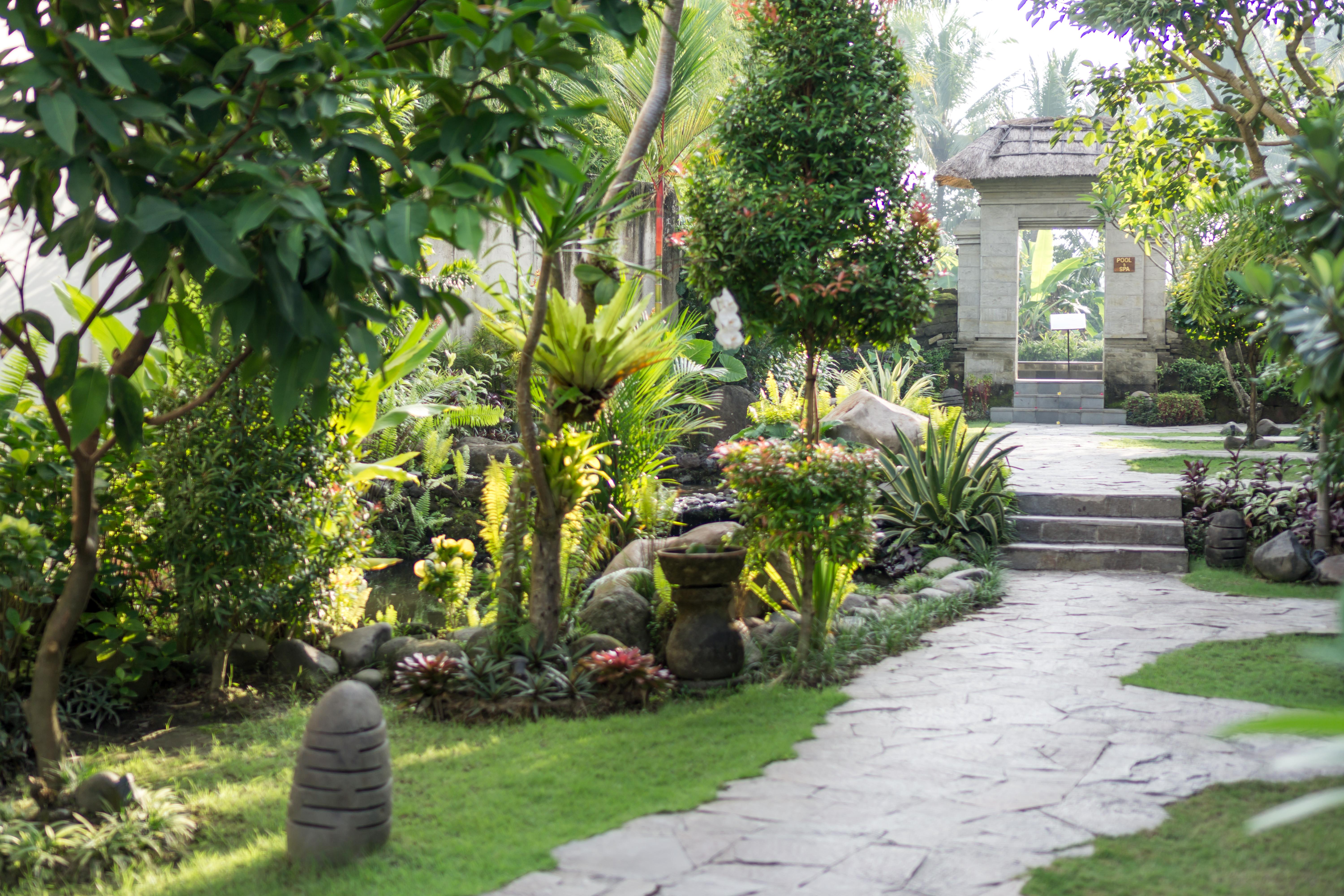 Radha Phala Resort & Spa Ubud  Exterior photo