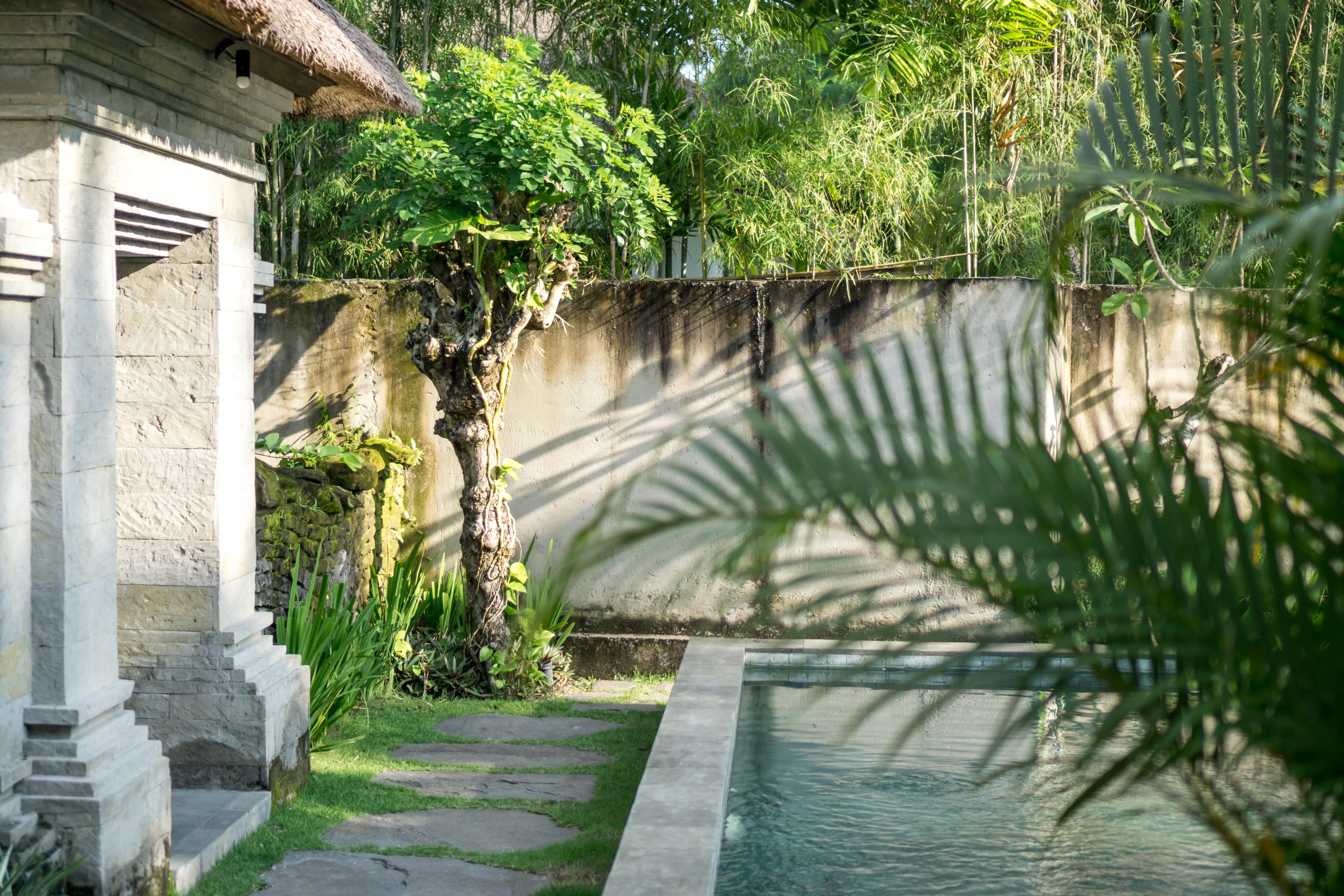 Radha Phala Resort & Spa Ubud  Exterior photo
